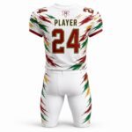 Back view of a custom American football uniform with player name, number 24, team logo, sublimated jersey, and matching football pants