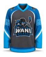 Custom Embroidered Ice Hockey Jersey Manufacturer – OEM Team Hockey Jerseys