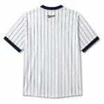 Custom pinstripe baseball jersey back view for player details