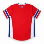 Custom V-neck baseball jersey back view for player name and number